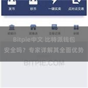 Bitpie中文 比特派钱包安全吗？专家详解其全面优势