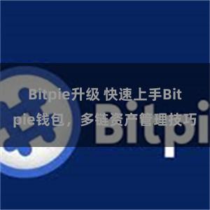 Bitpie升级 快速上手Bitpie钱包，多链资产管理技巧