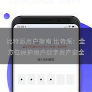 比特派用户指南 比特派：全方位保护用户数字资产安全