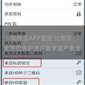 比特派APP直连 比特派：全方位保护用户数字资产安全