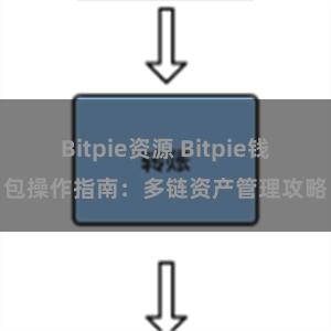 Bitpie资源 Bitpie钱包操作指南：多链资产管理攻略