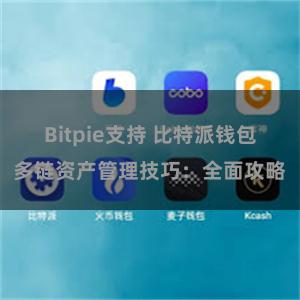 Bitpie支持 比特派钱包多链资产管理技巧：全面攻略