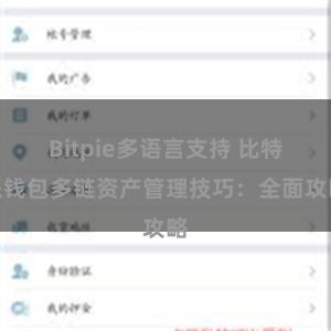 Bitpie多语言支持 比特派钱包多链资产管理技巧：全面攻略