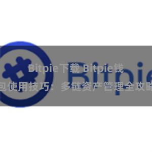 Bitpie下载 Bitpie钱包使用技巧：多链资产管理全攻略