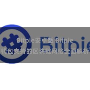 Bitpie安卓版 Bitpie钱包支持的区块链网络全面解析