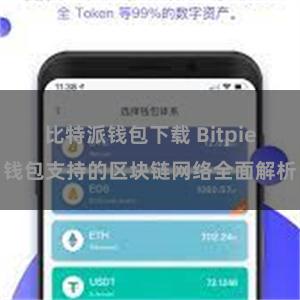 比特派钱包下载 Bitpie钱包支持的区块链网络全面解析