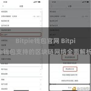 Bitpie钱包官网 Bitpie钱包支持的区块链网络全面解析