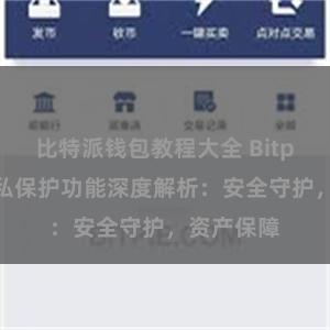 比特派钱包教程大全 Bitpie钱包隐私保护功能深度解析：安全守护，资产保障