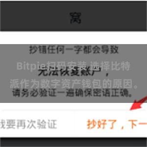 Bitpie扫码安装 选择比特派作为数字资产钱包的原因。