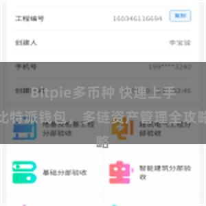 Bitpie多币种 快速上手比特派钱包，多链资产管理全攻略