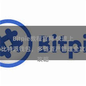 Bitpie教程官网 快速上手比特派钱包，多链资产管理全攻略