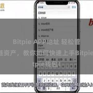 Bitpie APP地址 轻松管理多链资产，教你如何快速上手Bitpie钱包！