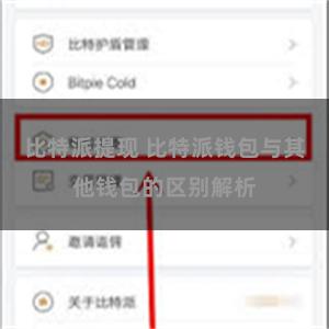 比特派提现 比特派钱包与其他钱包的区别解析