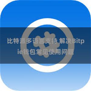 比特派多语言支持 解决Bitpie钱包常见使用问题