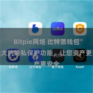 Bitpie网络 比特派钱包：强大的隐私保护功能，让您资产更安全