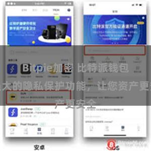 Bitpie加密 比特派钱包：强大的隐私保护功能，让您资产更安全