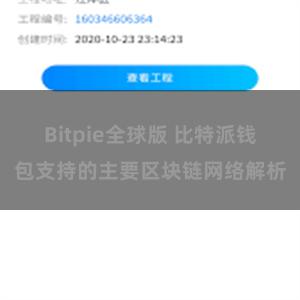 Bitpie全球版 比特派钱包支持的主要区块链网络解析