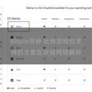 Bitpie币种 比特派钱包支持的主要区块链网络解析