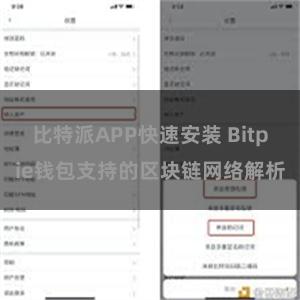 比特派APP快速安装 Bitpie钱包支持的区块链网络解析