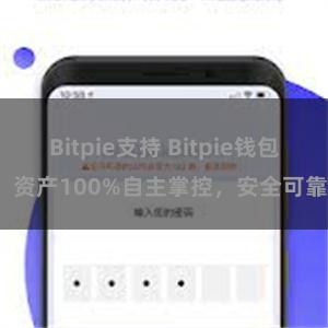 Bitpie支持 Bitpie钱包：资产100%自主掌控，安全可靠。