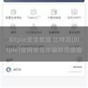 Bitpie安全教程 比特派(Bitpie)官网常见诈骗防范提醒