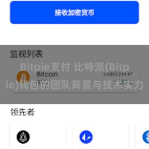 Bitpie支付 比特派(Bitpie)钱包的团队背景与技术实力