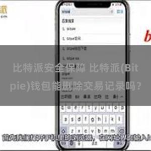 比特派安全保障 比特派(Bitpie)钱包能删除交易记录吗？