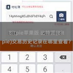 Bitpie苹果版 比特派(Bitpie)交易历史记录在哪里查看？