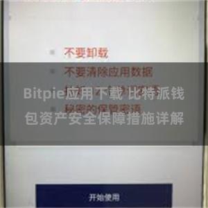 Bitpie应用下载 比特派钱包资产安全保障措施详解